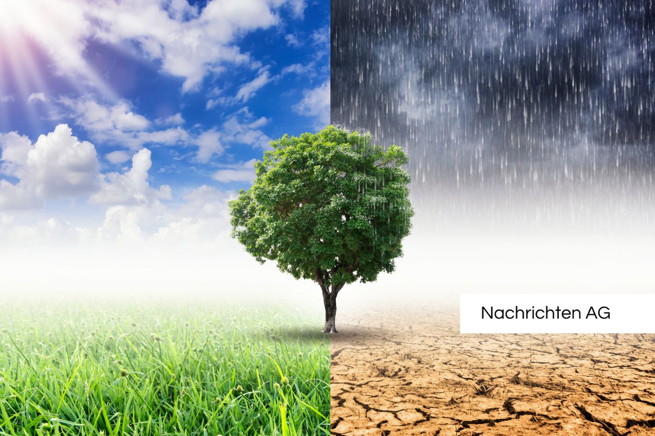Klimakrisen besiegen: Experten diskutieren Lösungen in Bremerhaven!