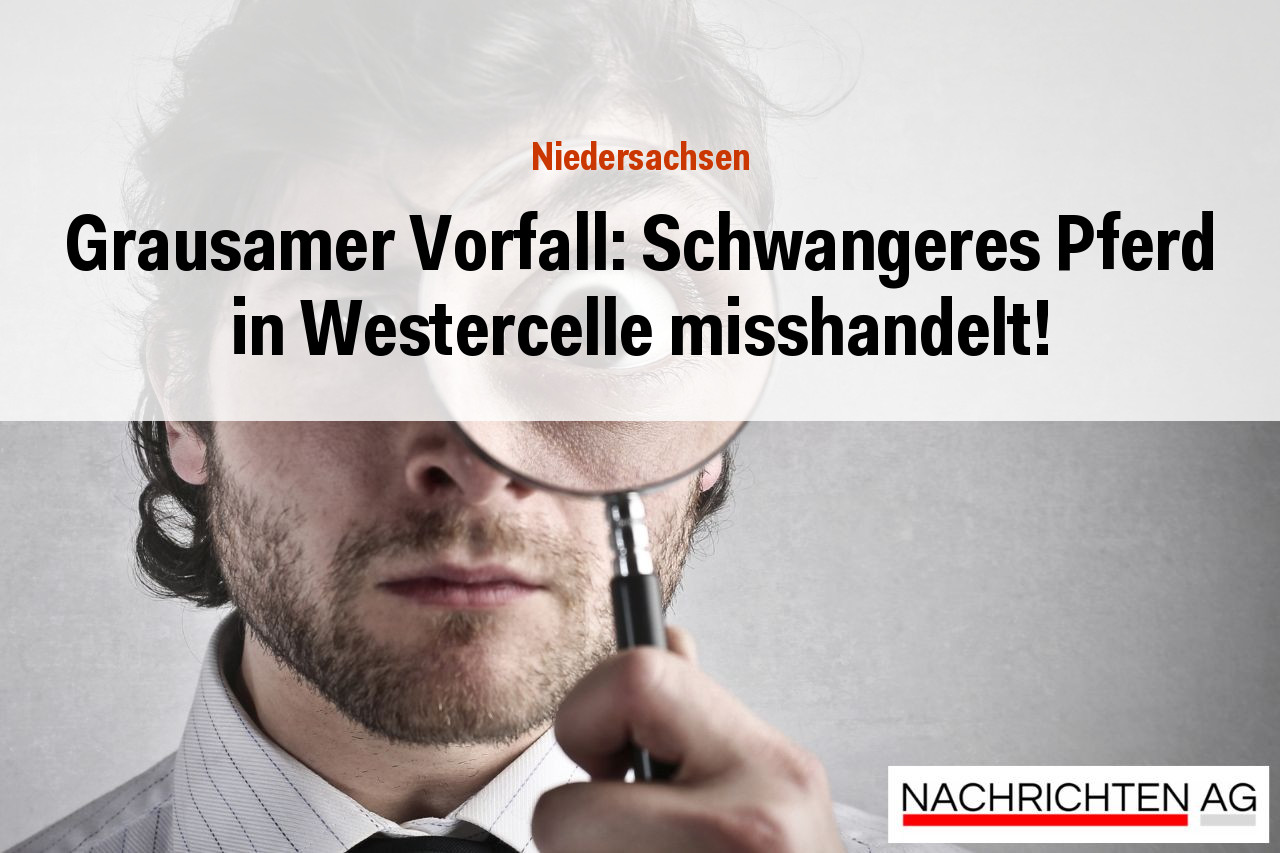 Grausamer Vorfall: Schwangeres Pferd in Westercelle misshandelt!