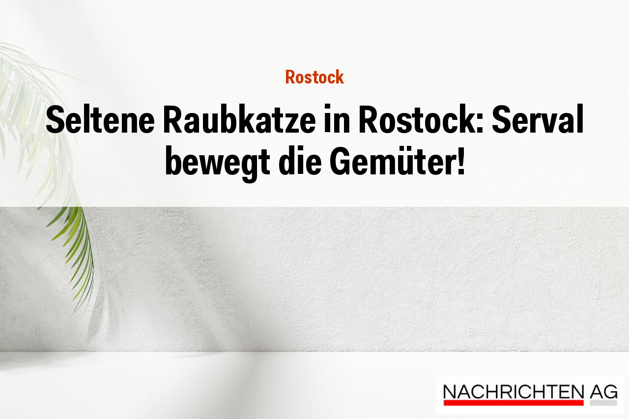 Seltene Raubkatze in Rostock: Serval bewegt die Gemüter!