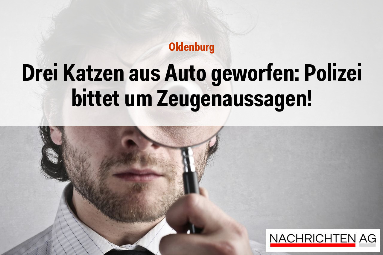Drei Katzen aus Auto geworfen: Polizei bittet um Zeugenaussagen!