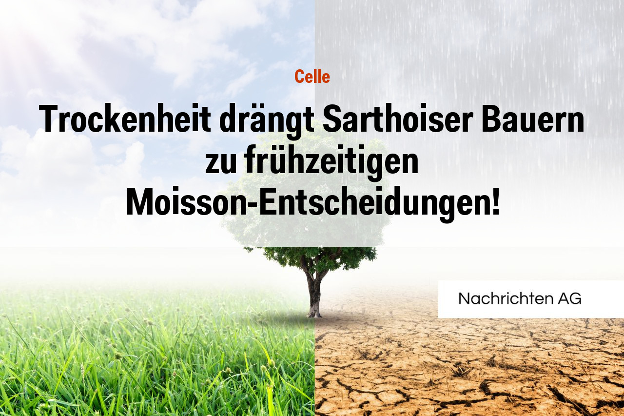 Trockenheit drängt Sarthoiser Bauern zu frühzeitigen Moisson-Entscheidungen!