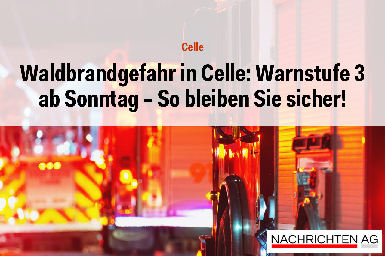 Waldbrandgefahr in Celle: Warnstufe 3 ab Sonntag – So bleiben Sie sicher!