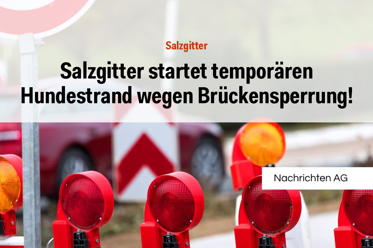 Salzgitter startet temporären Hundestrand wegen Brückensperrung!