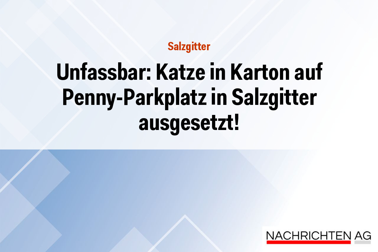 Unfassbar: Katze in Karton auf Penny-Parkplatz in Salzgitter ausgesetzt!