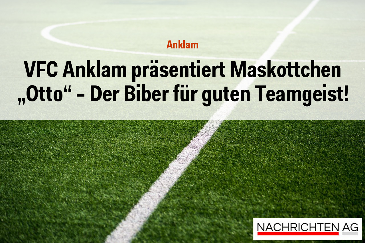 VFC Anklam präsentiert Maskottchen „Otto“ – Der Biber für guten Teamgeist!