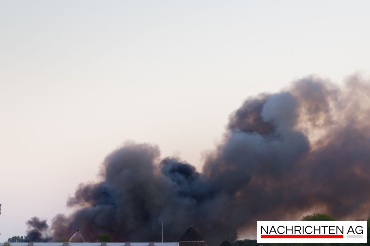 Großbrand in Bresegard: 10.000 Hühner verenden, Tierschutz fordert Maßnahmen!