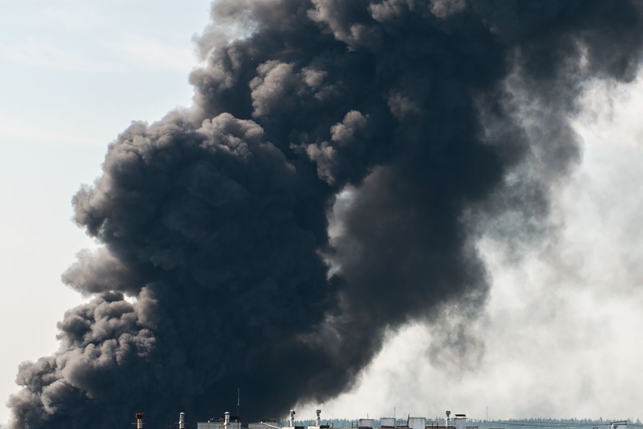 Großbrand in Bresegard: 10.000 Hühner verenden – Debatte über Tierschutz entbrannt!