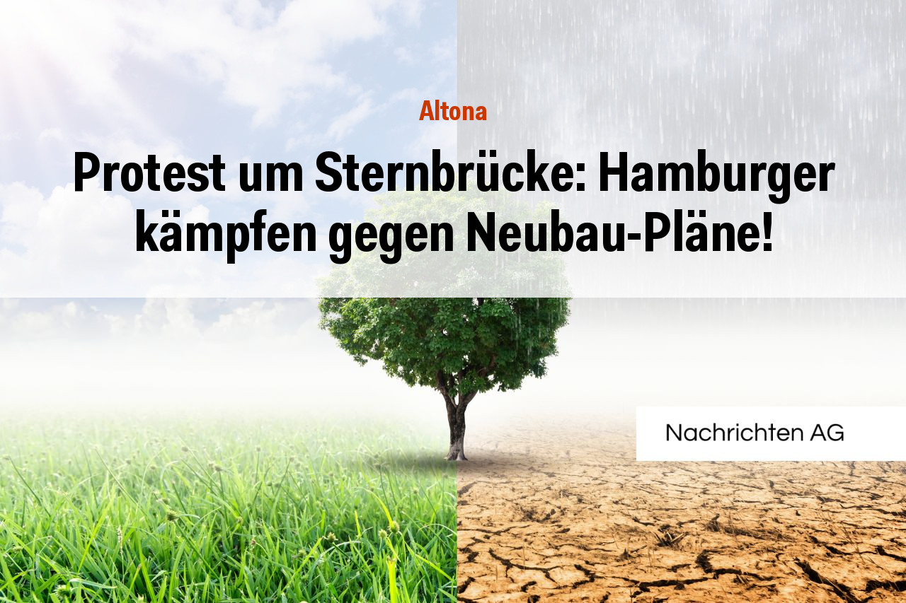 Protest um Sternbrücke: Hamburger kämpfen gegen Neubau-Pläne!