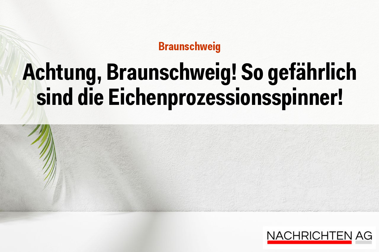 Achtung, Braunschweig! So gefährlich sind die Eichenprozessionsspinner!