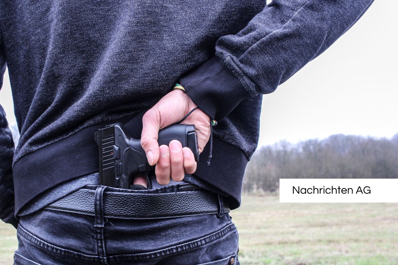 Alarm im Landkreis Peine: Asiatische Hornissen nisten erstmals!