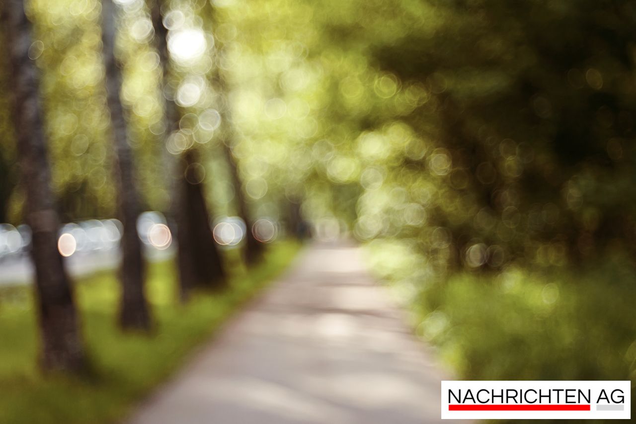 Rostocks Kleingartenbeirat: Frische Ideen für grüne Oasen!